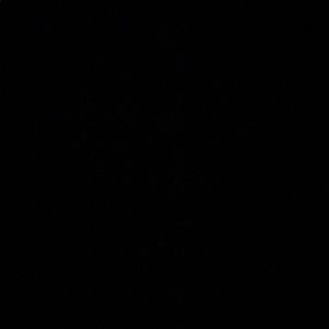 Meet your Posher, Natasha